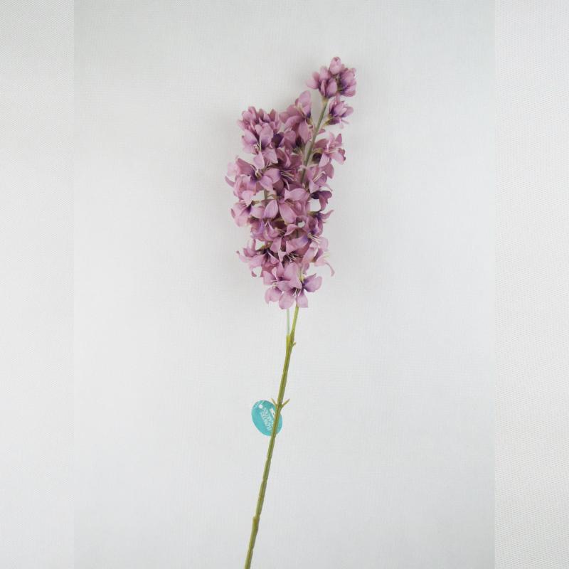 Lewkonia gałązka kwiaty fioletowe